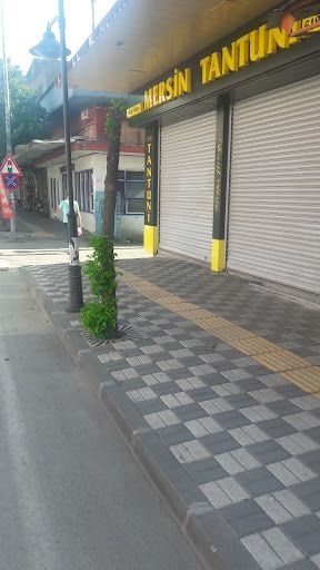 Yorum fotoğrafı 6