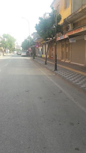 Yorum fotoğrafı 8