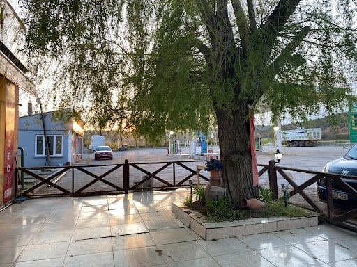 Fotoğraf 10