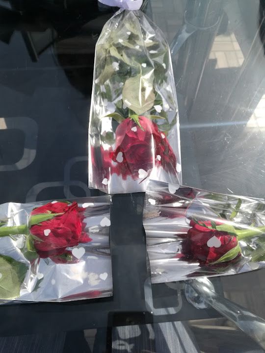 Fotoğraf 18