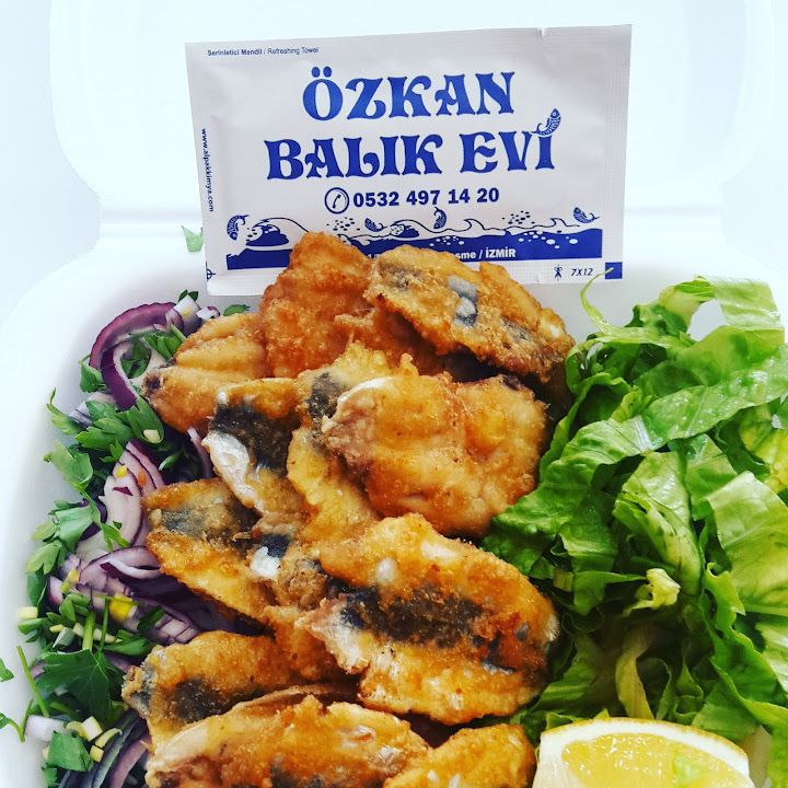 Fotoğraf 12