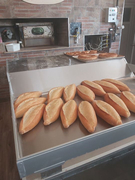 Fotoğraf 11
