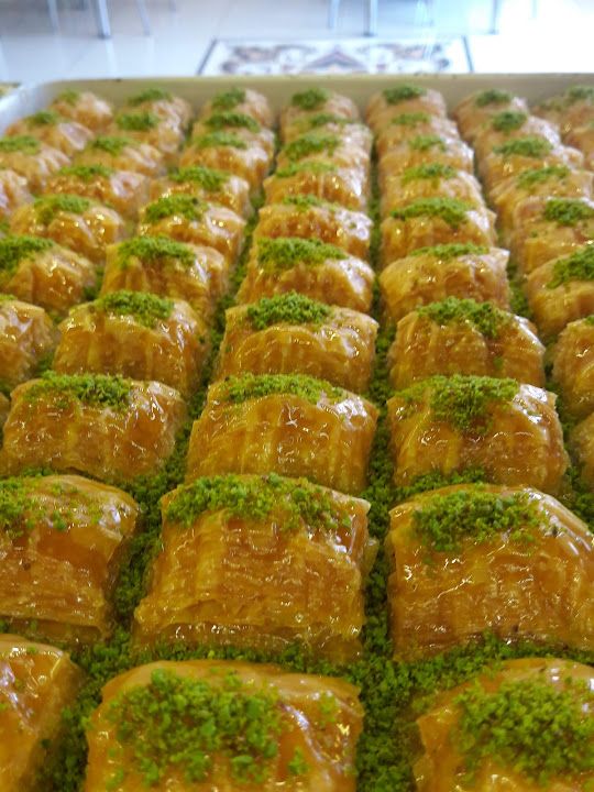 Fotoğraf 17