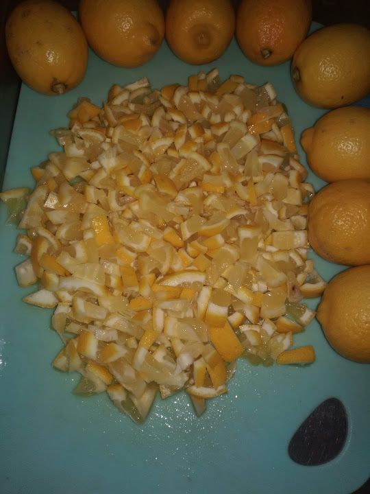 Fotoğraf 15