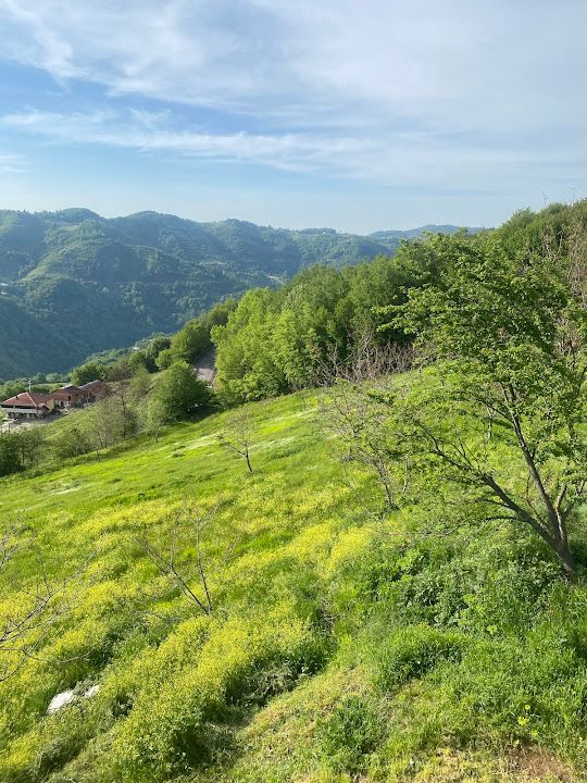 Fotoğraf 12