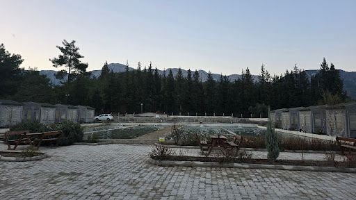 Yorum fotoğrafı 6