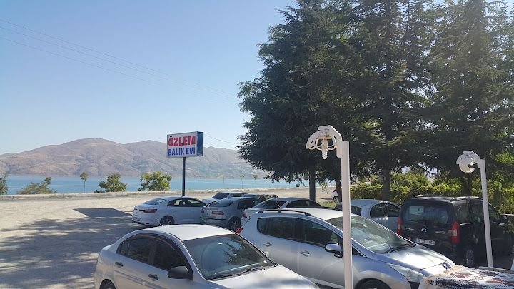 Fotoğraf 20