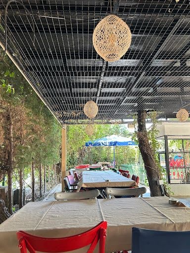 Fotoğraf 16