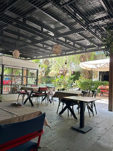Fotoğraf 18
