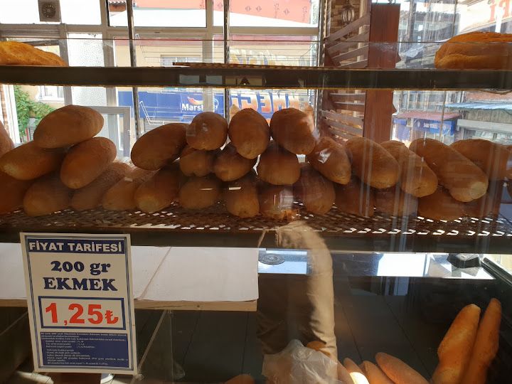 Fotoğraf 11