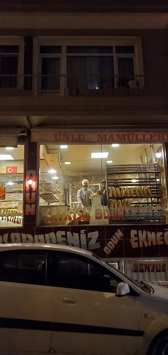 Fotoğraf 7