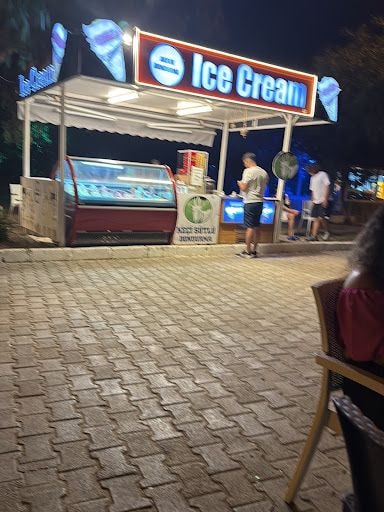 Fotoğraf 12