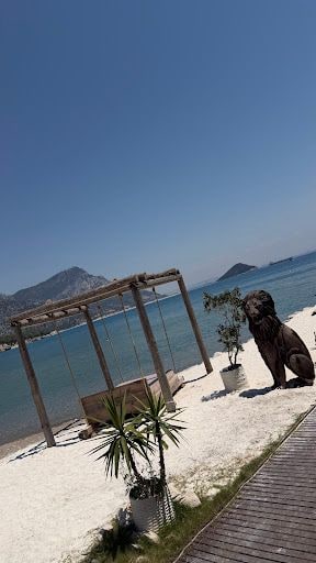 Yorum fotoğrafı 4