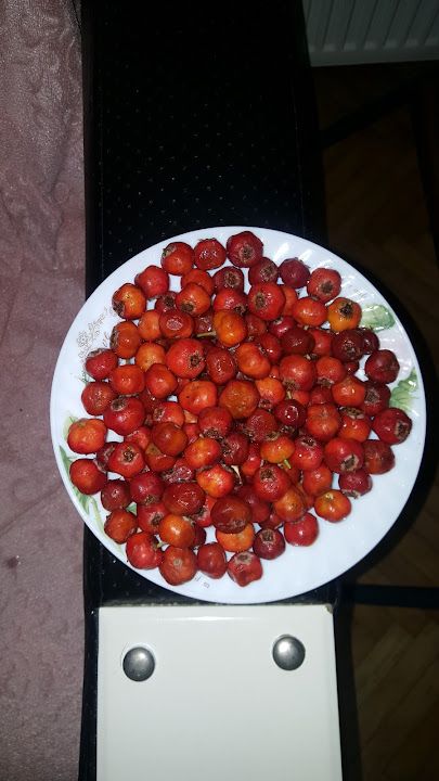 Fotoğraf 13