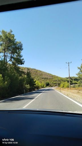 Yorum fotoğrafı 8