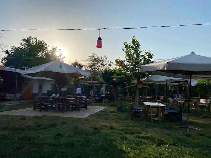 Fotoğraf 19