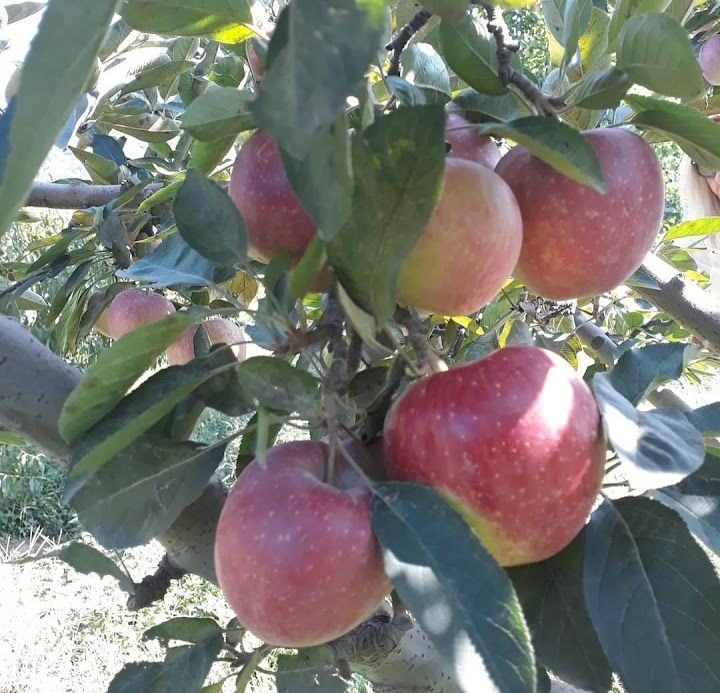 Fotoğraf 27