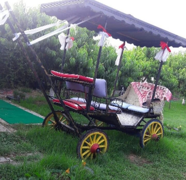 Fotoğraf 26