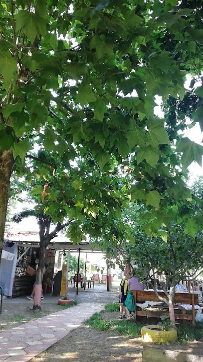Fotoğraf 49