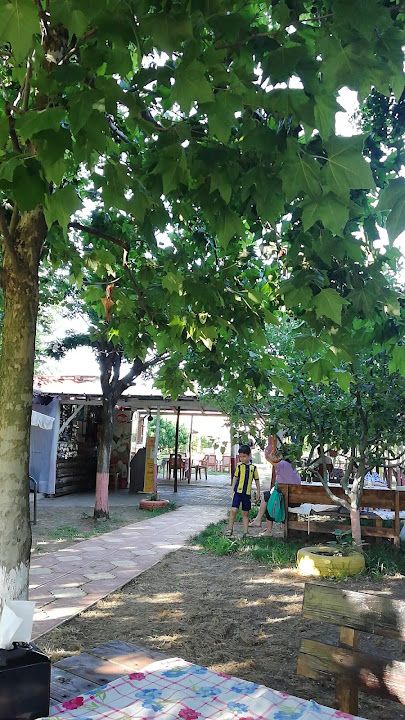 Fotoğraf 50