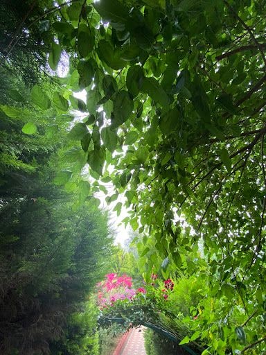 Yorum fotoğrafı 7