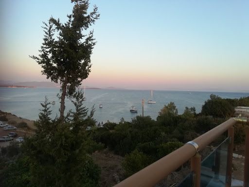 Fotoğraf 19