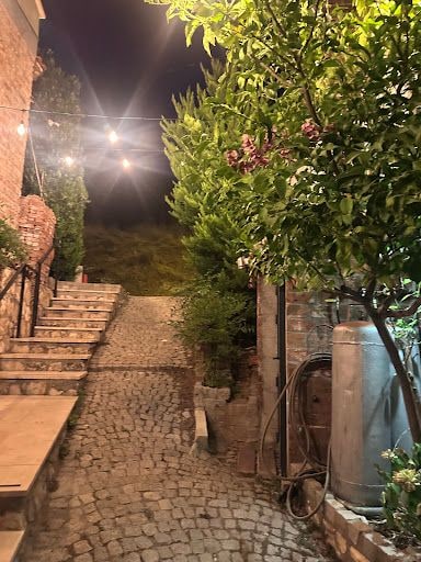 Fotoğraf 23