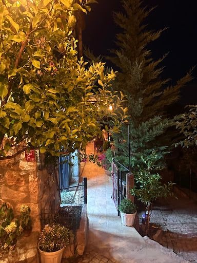 Fotoğraf 22
