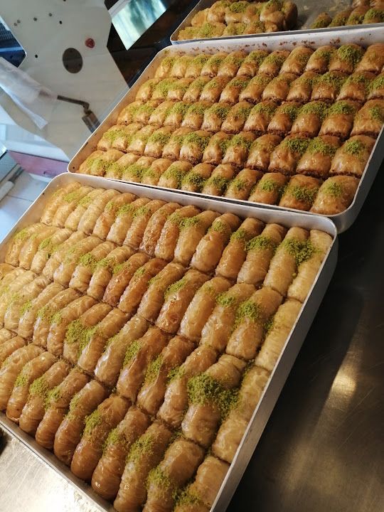 Fotoğraf 15