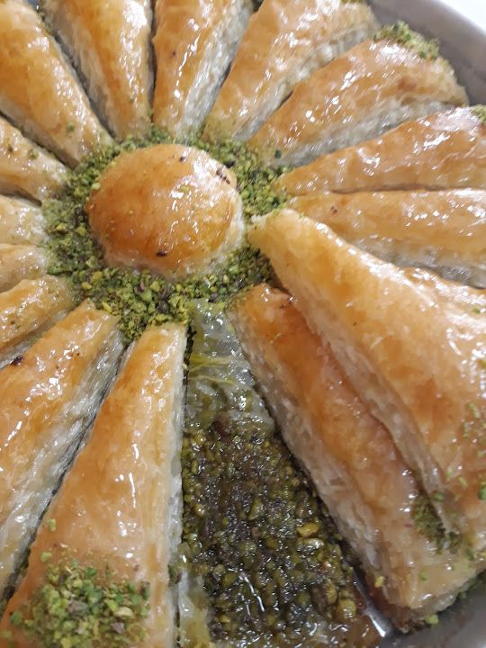 Fotoğraf 16