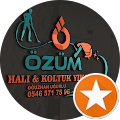 ÖZÜM HALI KOLTUK YIKAMA