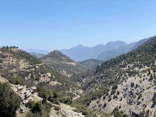 Yorum fotoğrafı 6