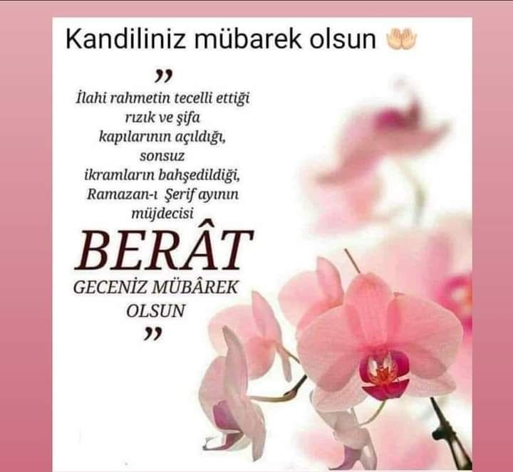 Fotoğraf 24