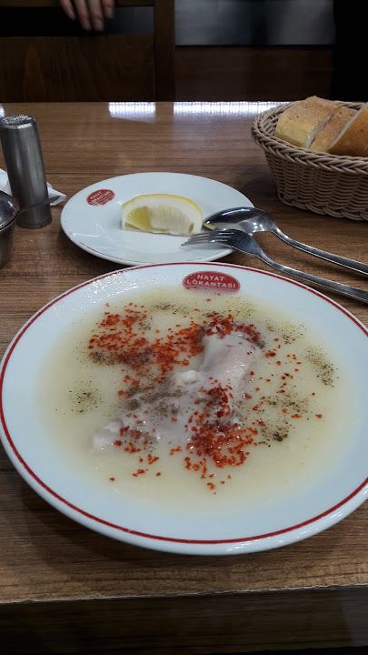 Fotoğraf 30