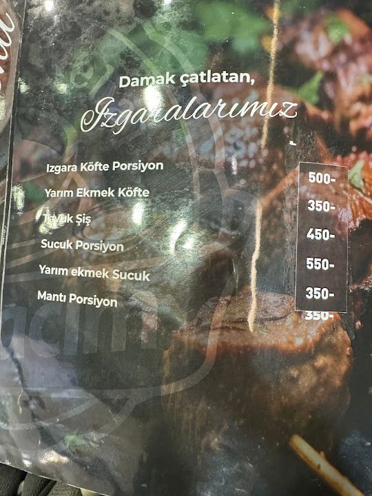 Fotoğraf 33