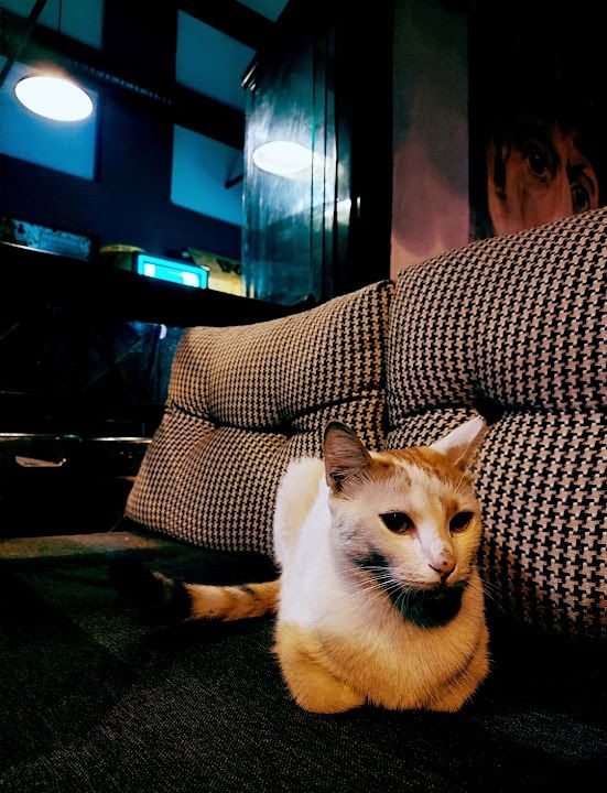 Yorum fotoğrafı 4