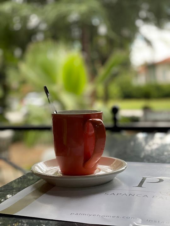 Fotoğraf 24