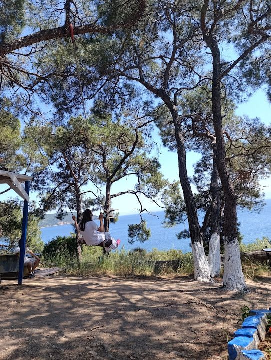 Fotoğraf 31
