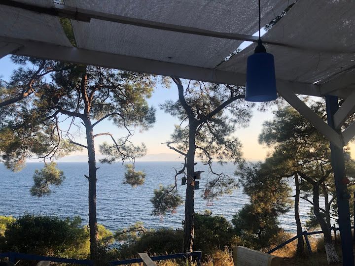 Fotoğraf 46