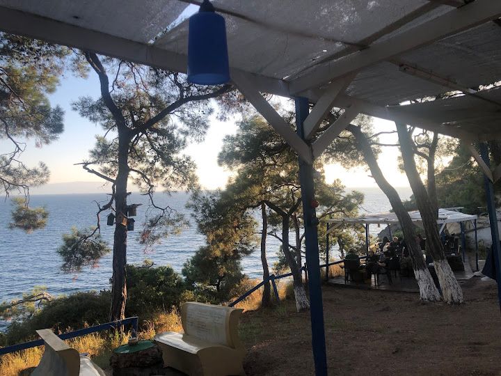 Fotoğraf 45