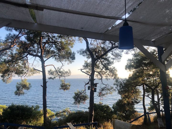 Fotoğraf 47