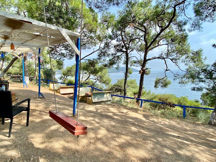 Fotoğraf 48