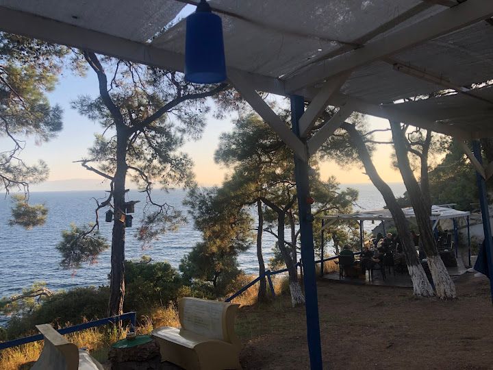 Fotoğraf 44