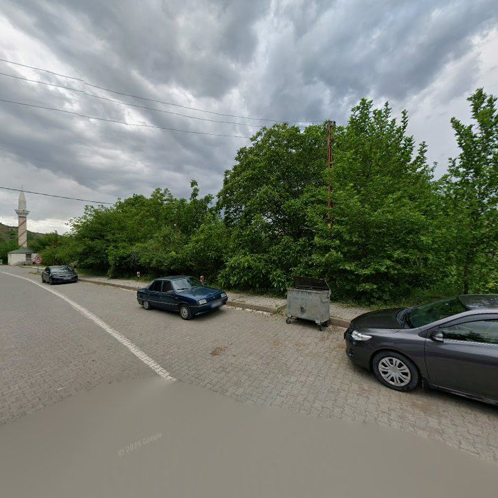 Fotoğraf 10