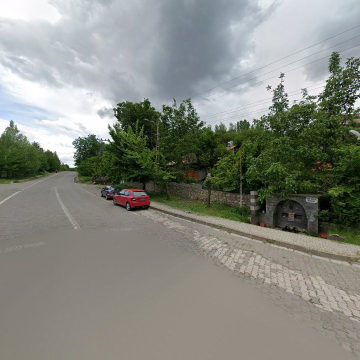 Fotoğraf 12