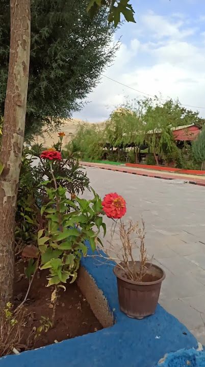 Fotoğraf 19