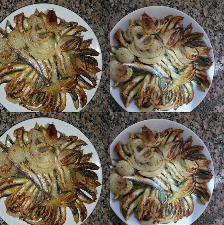 Fotoğraf 24