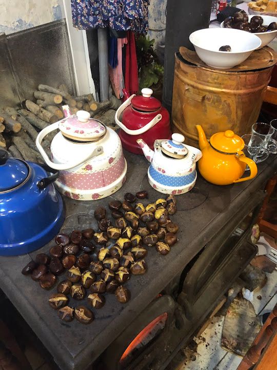 Fotoğraf 42