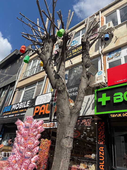 Yorum fotoğrafı 3
