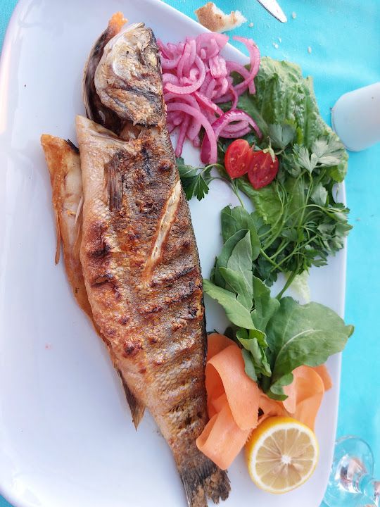 Fotoğraf 24
